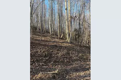 V/L Brindlewood Drive #38V, Nebo, NC 28761 - Photo 6