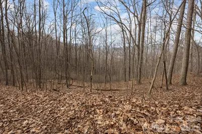 99999 Haynes Cove, Clyde, NC 28721 - Photo 14