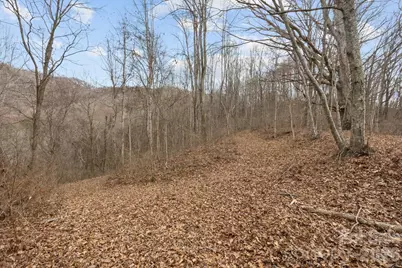 99999 Haynes Cove, Clyde, NC 28721 - Photo 16