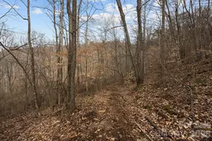 99999 Haynes Cove, Clyde, NC 28721 - Photo 1