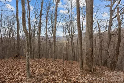 99999 Haynes Cove, Clyde, NC 28721 - Photo 12