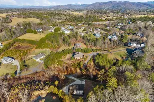 115 Nader Ave, Weaverville, NC 28787 - Photo 44