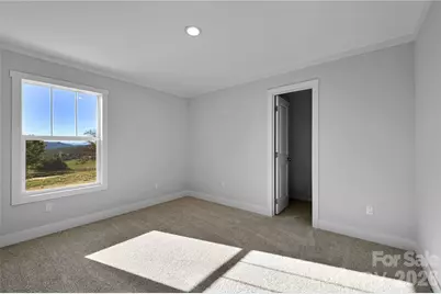 1675 Bull Creek Road, Marshall, NC 28753 - Photo 22