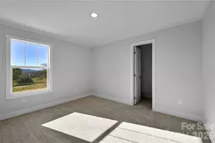 1675 Bull Creek Rd, Marshall, NC 28753 - Photo 22