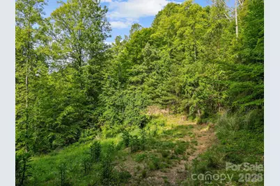138 Whitfield Lane, Weaverville, NC 28787 - Photo 14