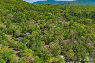 45 Sleepy Hollow Dr, Asheville, NC 28805 - Photo 36