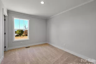 1603 Bull Creek Rd, Marshall, NC 28753 - Photo 20