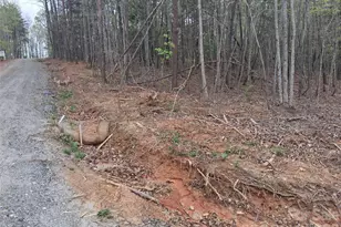 2312 Magnolia PL, Morganton, NC 28655 - Photo 38