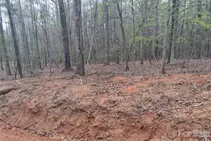 2312 Magnolia PL, Morganton, NC 28655 - Photo 32