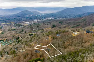 31 Timber Park Dr, Black Mountain, NC 28711 - Photo 48