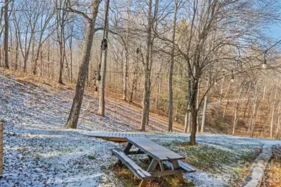 270 Admiration Court, Waynesville, NC 28785 - Photo 38