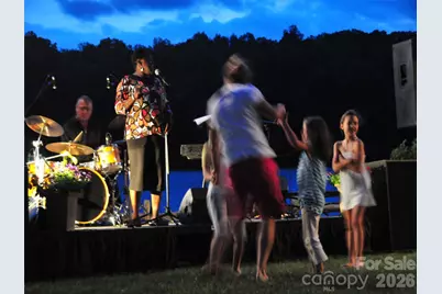 26 Balsam High Road, Biltmore Lake, NC 28715 - Photo 46