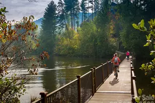 26 Balsam High Rd, Biltmore Lake, NC 28715 - Photo 40