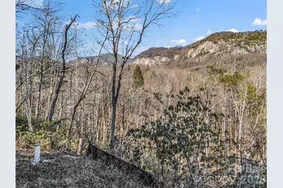 00 Mintwood Court, Lake Lure, NC 28746 - Photo 28