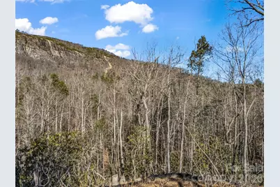 00 Mintwood Court, Lake Lure, NC 28746 - Photo 30