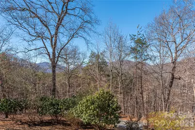 706 Ramble Lane, Canton, NC 28716 - Photo 28