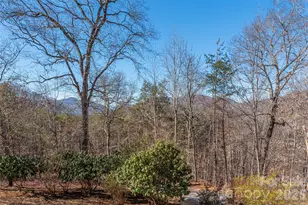 706 Ramble Ln, Canton, NC 28716 - Photo 28
