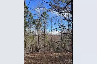 254 Stoney Creek Drive #224, Nebo, NC 28761 - Photo 2