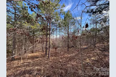 254 Stoney Creek Drive #224, Nebo, NC 28761 - Photo 6