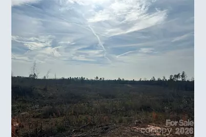 1111 Countryside Drive, Blackstock, SC 29014 - Photo 10