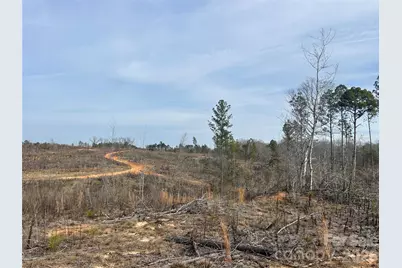 1111 Countryside Drive, Blackstock, SC 29014 - Photo 20