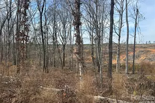 1111 Country Side Dr, Blackstock, SC 29014 - Photo 1