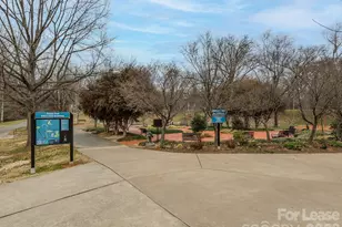 1310 N Davidson St, Charlotte, NC 28206 - Photo 38