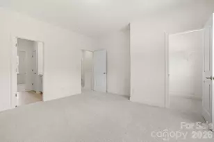 135 Cherry Spgs Ln, Asheville, NC 28804 - Photo 20