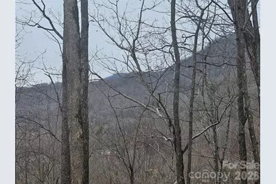000 Icicle Ridge, Sylva, NC 28779 - Photo 20