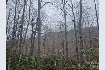000 Icicle Ridge, Sylva, NC 28779 - Photo 16