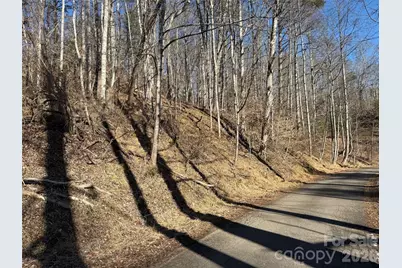 999 Echo Hill Drive #4, Green Mountain, NC 28740 - Photo 1