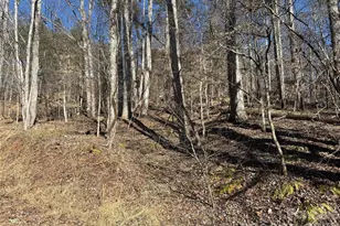 999 Echo Hill Dr, Green Mountain, NC 28740 - Photo 2