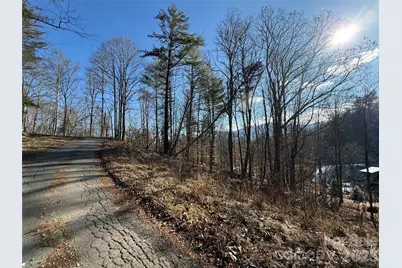 999 Echo Hill Drive #4, Green Mountain, NC 28740 - Photo 6