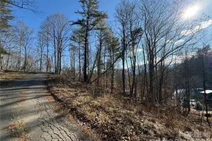 999 Echo Hill Dr, Green Mountain, NC 28740 - Photo 6