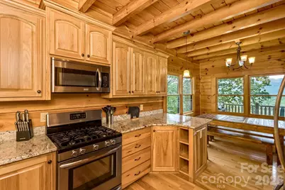 109 Overlook Point Lane, Lake Lure, NC 28746 - Photo 14