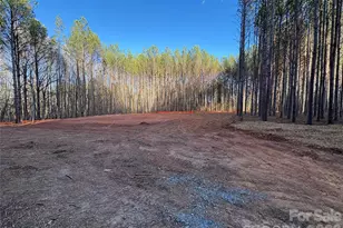 000 Quiver Way, York, SC 29745 - Photo 4