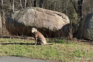 17924 Ragtop Day Ln, Cornelius, NC 28031 - Photo 20