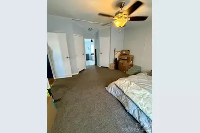 195 Big Tree Drive, Statesville, NC 28677 - Photo 6