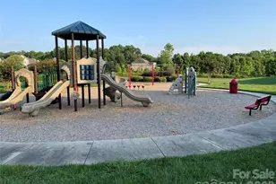 707 Five Leaf Ln, Waxhaw, NC 28173 - Photo 38