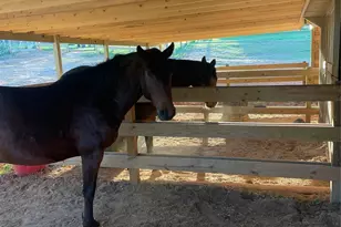 159 Big Island Rd, Forest City, NC 28043 - Photo 40