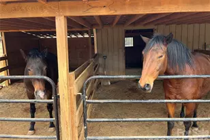 159 Big Island Rd, Forest City, NC 28043 - Photo 14