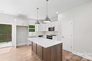 183 Cherry Spgs Ln, Asheville, NC 28804 - Photo 10