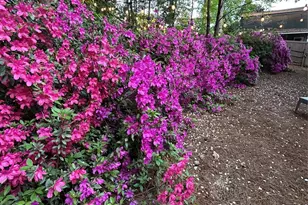 150 Lutomma Cir, Charlotte, NC 28270 - Photo 34