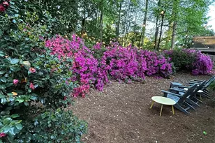 150 Lutomma Cir, Charlotte, NC 28270 - Photo 36