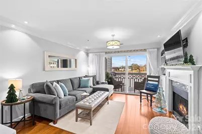 18789 Vineyard Point Lane, Cornelius, NC 28031 - Photo 10