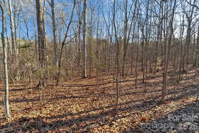 00 Glenola Drive, Waxhaw, NC 28173 - Photo 2