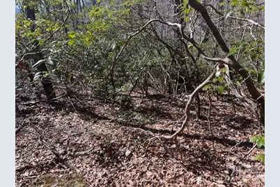 Lot 79 Arrowhead Trail, Columbus, NC 28722 - Photo 4