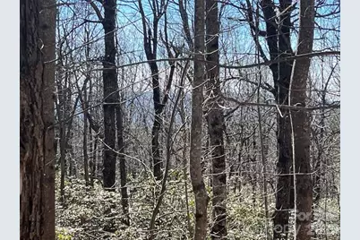 Lot 79 Arrowhead Trail, Columbus, NC 28722 - Photo 6