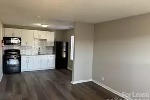 304 Hoskins Mill Ln, Charlotte, NC 28208 - Photo 4