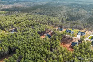 1057 Hawksbill Dr, Morganton, NC 28655 - Photo 46